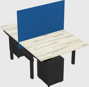 Shared electric desk