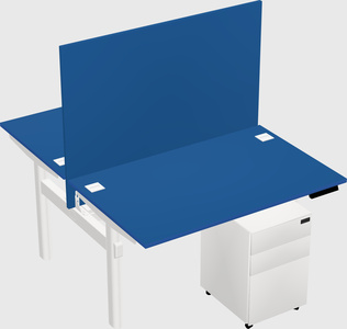 Shared electric desk