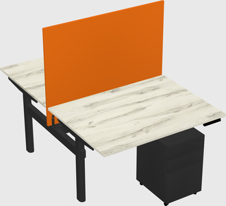 Shared electric desk