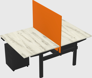 Shared electric desk