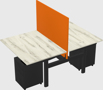 Shared electric desk