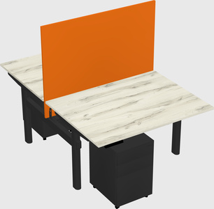 Shared electric desk