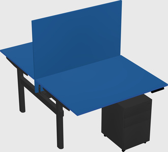 Shared electric desk