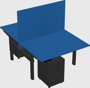 Shared electric desk