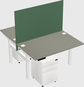 Shared electric desk