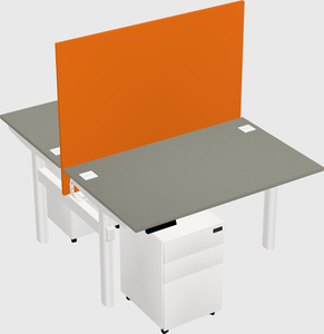 Shared electric desk