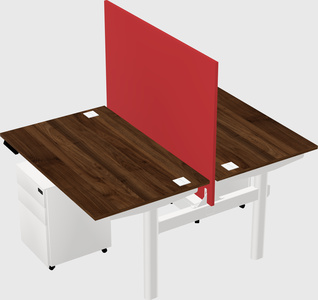 Shared electric desk