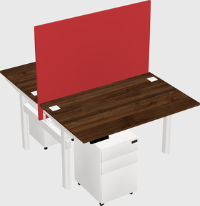 Shared electric desk