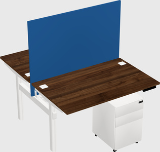 Shared electric desk
