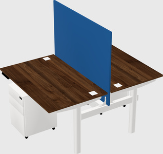 Shared electric desk