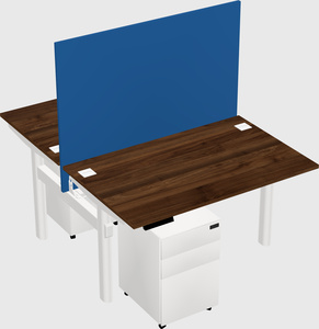 Shared electric desk
