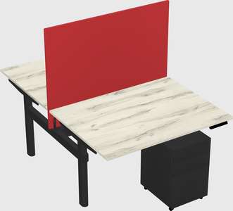 Shared electric desk