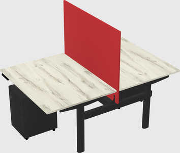 Shared electric desk