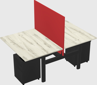 Shared electric desk