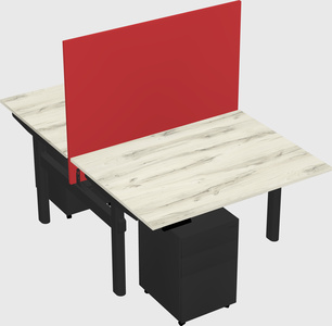 Shared electric desk