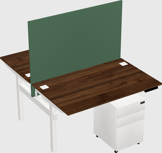 Shared electric desk