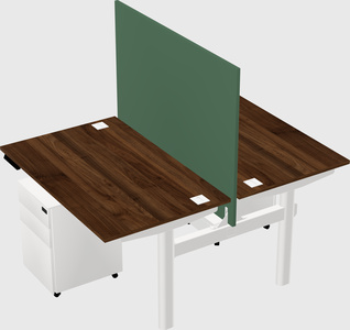 Shared electric desk