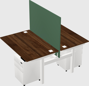 Shared electric desk