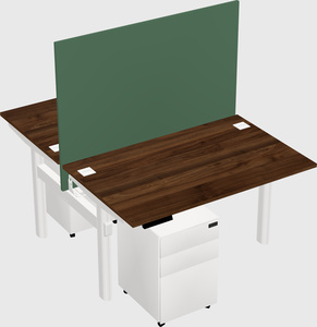 Shared electric desk