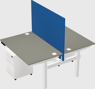 Shared electric desk