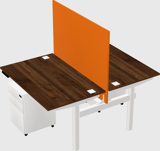 Shared electric desk