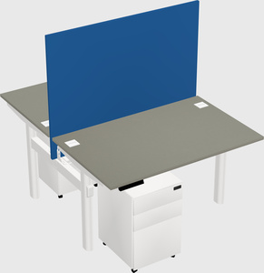 Shared electric desk