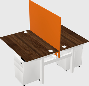 Shared electric desk