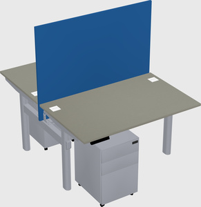 Shared electric desk