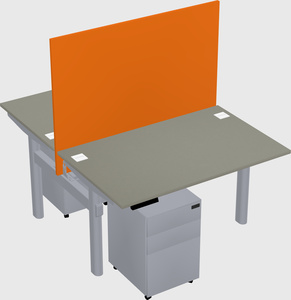 Shared electric desk