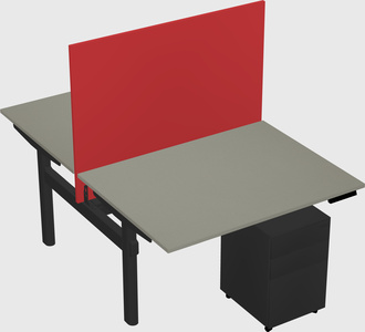 Shared electric desk