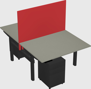 Shared electric desk