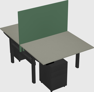 Shared electric desk