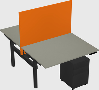 Shared electric desk