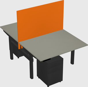 Shared electric desk