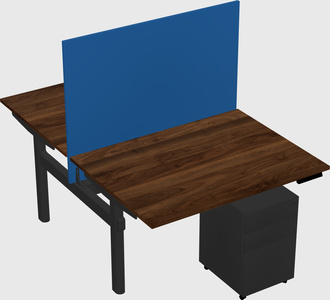 Shared electric desk