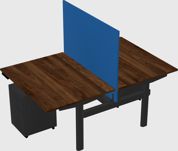 Shared electric desk