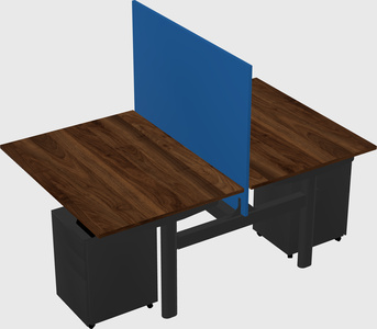 Shared electric desk