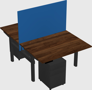Shared electric desk