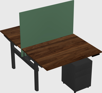 Shared electric desk
