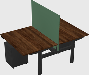 Shared electric desk