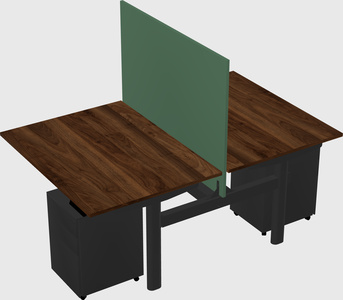 Shared electric desk