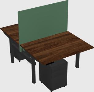 Shared electric desk