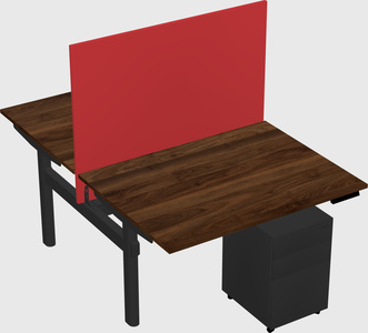 Shared electric desk
