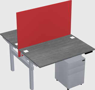 Shared electric desk