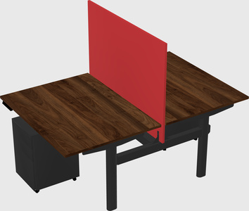 Shared electric desk