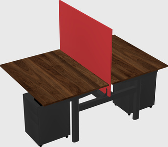 Shared electric desk