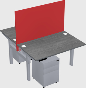 Shared electric desk