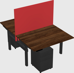 Shared electric desk