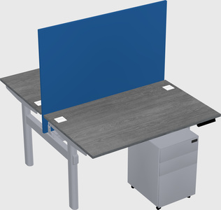 Shared electric desk