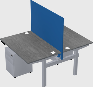 Shared electric desk
